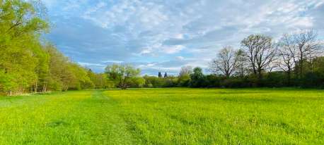 Image of Lipžská rokle park in Dobříš, Central Bohemia, Czechia Image of Lipžská rokle park in dobris, central-bohemia, czechia