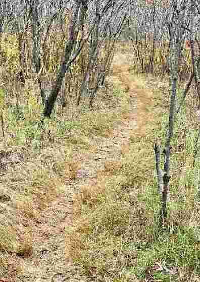 Image of Sally Milligan Park park in Beverly, Massachusetts, United States Image of Sally Milligan Park park in Beverly, Massachusetts, United States