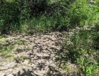 Image of Fort Riley Hiking Trail by Moon Lake park in Fort Riley, Kansas, United States Image of Fort Riley Hiking Trail by Moon Lake park in fort-riley, kansas, united-states
