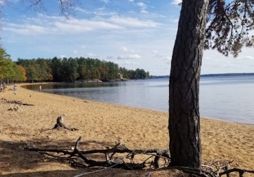 Image of Sebago Lake State Park - Day Use Area Beach, Picnic, and Trails park in Casco, Michigan, United States Image of Sebago Lake State Park - Day Use Area Beach, Picnic, and Trails park in casco, michigan, united-states
