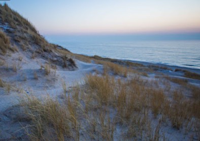 Image of DANCAMPS Holmsland park in Ringkøbing-Skjern, Central Denmark Region, Denmark Image of DANCAMPS Holmsland park in ringkobing-skjern-municipality, central-denmark-region, denmark
