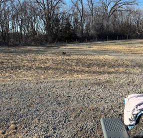 Image of Delano Dog Park park in Delano, California, United States Image of Delano Dog Park park in Delano, California, United States