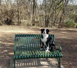 Image of Red Bud Isle park in Austin, Minnesota, United States Image of Red Bud Isle park in austin, minnesota, united-states