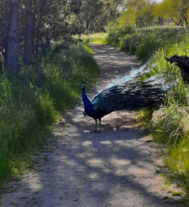 Image of Del Paso Park park in Sacramento, California, United States Image of Del Paso Park park in sacramento, california, united-states