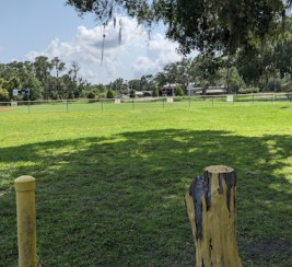 Image of Mike E Sansone Community Park park in Plant City, Florida, United States Image of Mike E Sansone Community Park park in plant-city, florida, united-states