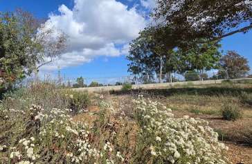 Image of West San Gabriel River Parkway Nature Trail park in Lakewood, California, United States Image of West San Gabriel River Parkway Nature Trail park in lakewood, california, united-states