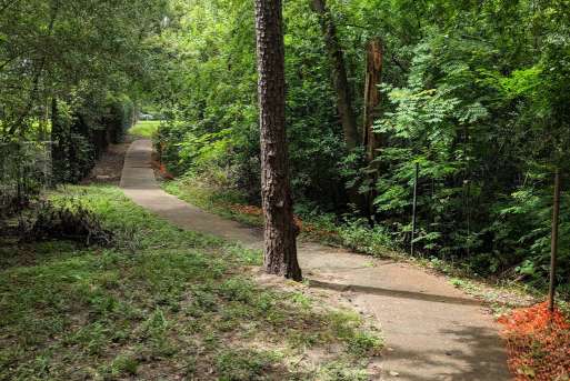 Image of Little Thicket Park park in Houston, Minnesota, United States Image of Little Thicket Park park in houston, minnesota, united-states