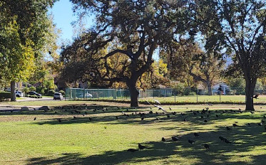 Image of Russell Park park in Westlake Village, California, United States Image of Russell Park park in westlake-village, california, united-states