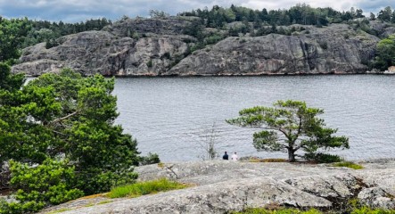 Image of Nyckelvikens naturreservat park in Nacka, Stockholm, Sweden Image of Nyckelvikens naturreservat park in nacka, stockholm, sweden