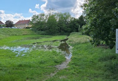 Image of Hunde Freilauffläche park in Karlsruhe, Baden-Wurttemberg, Germany Image of Hunde Freilauffläche park in karlsruhe, baden-wurttemberg, germany