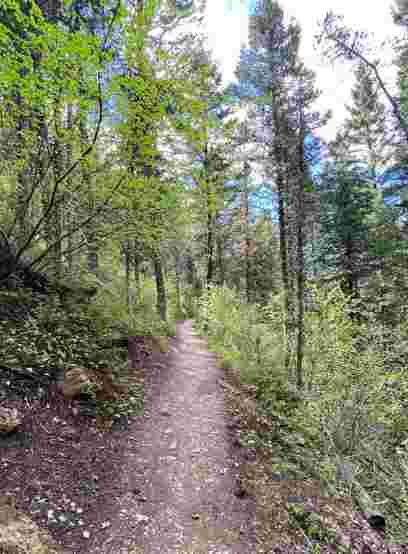 Image of South Cottonwood Trailhead park in Bozeman, Montana, United States Image of South Cottonwood Trailhead park in bozeman, montana, united-states