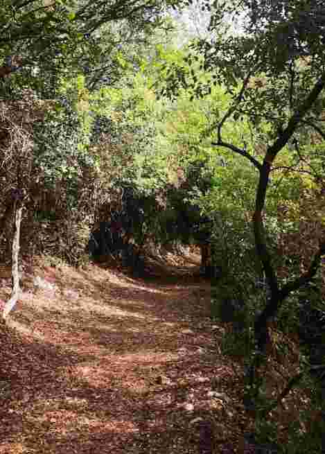 Image of Parc Naturel Départemental de Roquevignon park in Grasse, Alpes-Maritimes, France Image of Parc Naturel Départemental de Roquevignon park in grasse, alpes-maritimes, france