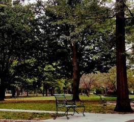 Image of Franklin Park park in Bloomington, California, United States Image of Franklin Park park in bloomington, california, united-states