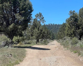Image of Sugarloaf National Recreation Trail 2E18 park in Big Bear, California, United States Image of Sugarloaf National Recreation Trail 2E18 park in big-bear, california, united-states