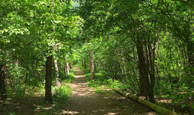 Image of Price Park Conservancy park in Elkhorn, Wisconsin, United States Image of Price Park Conservancy park in elkhorn, wisconsin, united-states