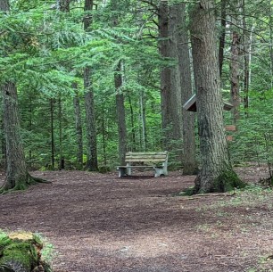 Image of Brown Woods park in Bangor, Maine, United States Image of Brown Woods park in bangor, maine, united-states