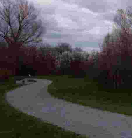 Image of Parco Natura park in Cesano Boscone, Lombardia, Italy Image of Parco Natura park in cesano-boscone, lombardia, italy