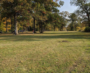 Image of Dam No. 1 Woods East park in Wheeling, Illinois, United States Image of Dam No. 1 Woods East park in wheeling, illinois, united-states