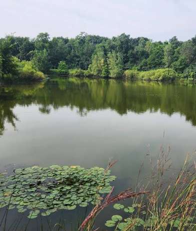Image of WCC Nature Trail park in Ann Arbor, Michigan, United States Image of WCC Nature Trail park in ann-arbor, michigan, united-states