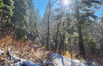 Image of North Canyon Trailhead park in Bountiful, Utah, United States Image of North Canyon Trailhead park in bountiful, utah, united-states