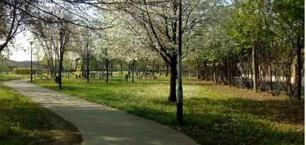 Image of Parco Della Concordia park in Castegnato, Brescia, Italy Image of Parco Della Concordia park in castegnato, brescia, italy