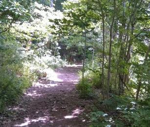 Image of Black Pond State Wildlife Area park in Meriden, Connecticut, United States Image of Black Pond State Wildlife Area park in meriden, connecticut, united-states