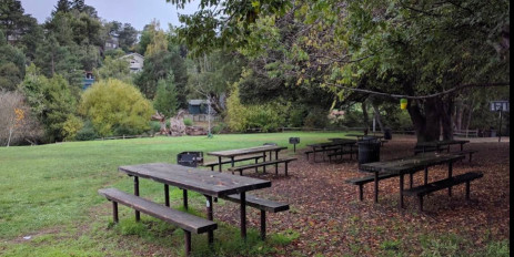 Image of Boyle Park park in Mill Valley, California, United States Image of Boyle Park park in mill-valley, california, united-states