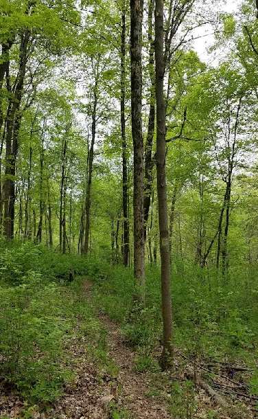 Image of Fox Preserve park in Cincinnati, Ohio, United States Image of Fox Preserve park in cincinnati, ohio, united-states