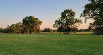 Image of Chaffee Village Dog Park park in Fort Cavazos, Texas, United States Image of Chaffee Village Dog Park park in fort-cavazos, texas, united-states