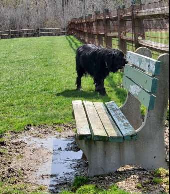Image of Tails 'n Trails Dog Park park in Aurora, Colorado, United States Image of Tails 'n Trails Dog Park park in aurora, colorado, united-states