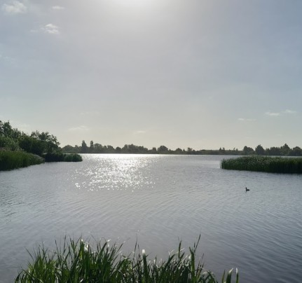 Image of Recreatiegebied Jagersveld park in Zaandam, North Holland, Netherlands Image of Recreatiegebied Jagersveld park in zaandam, north-holland, netherlands