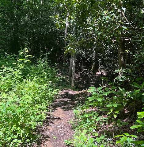Image of Green Mile Trail park in Johnson City, Tennessee, United States Image of Green Mile Trail park in johnson-city, tennessee, united-states