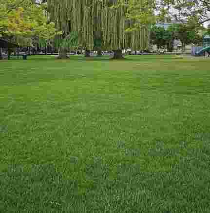 Image of Adams Park park in Logan, Utah, United States Image of Adams Park park in logan, utah, united-states