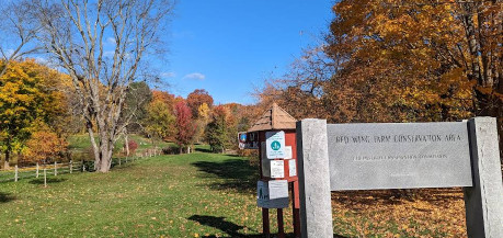 Image of Red Wing Farm Reservation park in Chelmsford, Massachusetts, United States Image of Red Wing Farm Reservation park in chelmsford, massachusetts, united-states