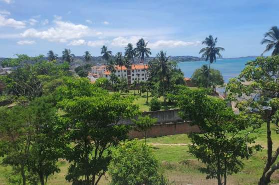 Image of Monte de Periperi park in Salvador, Bahia, Brazil Image of Monte de Periperi park in salvador, bahia, brazil