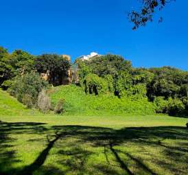 Image of Cooper Park - Bellevue Hill park in Bellevue Hill, New South Wales, Australia Image of Cooper Park - Bellevue Hill park in bellevue-hill, new-south-wales, australia