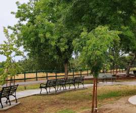 Wildwood Native Park