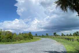 Image of Twin Oaks Conservation Area park in Kissimmee, Florida, United States Image of Twin Oaks Conservation Area park in kissimmee, florida, united-states
