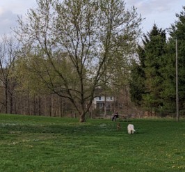 Image of Meyer Broadway County Park park in Three Rivers, Massachusetts, United States Image of Meyer Broadway County Park park in three-rivers, massachusetts, united-states