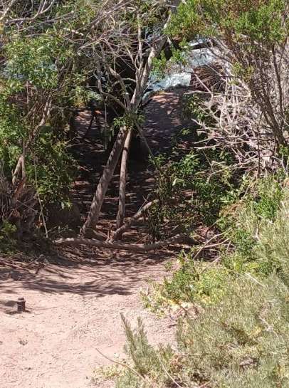 Image of The Bluffs trailhead park in Pismo Beach, California, United States Image of The Bluffs trailhead park in pismo-beach, california, united-states