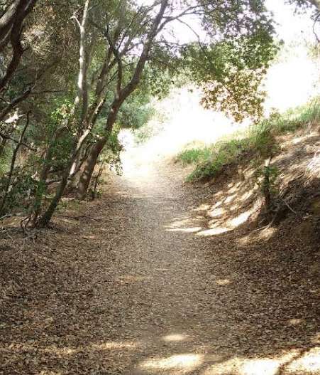 Image of Tecolote Canyon Natural Park and Nature Center park in San Diego, California, United States Image of Tecolote Canyon Natural Park and Nature Center park in san-diego, california, united-states