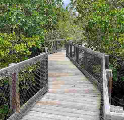 Image of Clam Bayou Nature Park park in Gulfport, Florida, United States Image of Clam Bayou Nature Park park in gulfport, florida, united-states