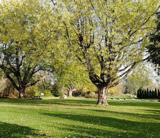 Image of Last Duel Park park in Perth, Ontario, Canada Image of Last Duel Park park in perth, ontario, canada