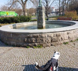 Image of Anton-Saefkow Park park in Berlin, Berlin, Germany Image of Anton-Saefkow Park park in berlin, berlin, germany