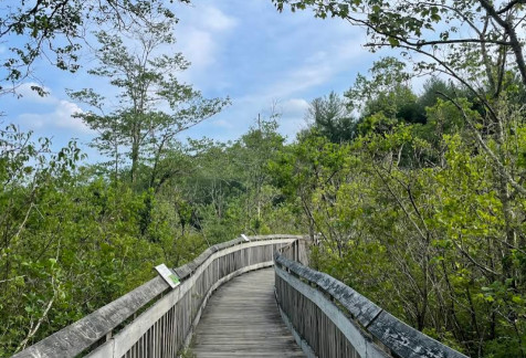Image of Chatfield Hollow State Park park in Killingworth, Connecticut, United States Image of Chatfield Hollow State Park park in killingworth, connecticut, united-states