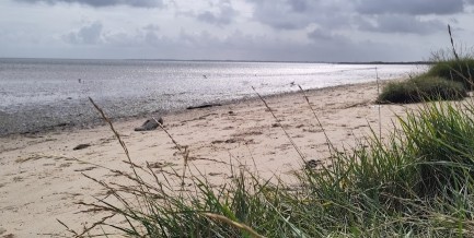 Image of Weißes Kliff park in Wenningstedt-Braderup (Sylt), Schleswig-Holstein, Germany Image of Weißes Kliff park in wenningstedt-braderup-sylt, schleswig-holstein, germany