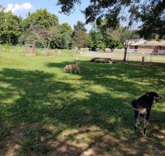 Image of Weaver Dog Park park in Weaver, Alabama, United States Image of Weaver Dog Park park in weaver, alabama, united-states
