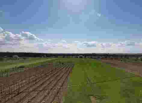 Image of Csikvándi-kilátó park in Csikvánd, Western Transdanubia, Hungary Image of Csikvándi-kilátó park in csikvand, western-transdanubia, hungary