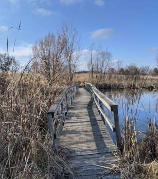 Image of Lake District Prairie Preserve park in Cambridge, Maryland, United States Image of Lake District Prairie Preserve park in cambridge, maryland, united-states