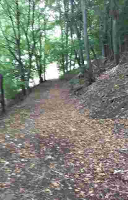 Image of Naturschutzgebiet Sticklenberg / Schwarze Haupt park in Brilon, Nordrhein-Westfalen, Germany Image of Naturschutzgebiet Sticklenberg / Schwarze Haupt park in brilon, nordrhein-westfalen, germany